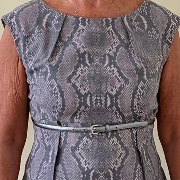 Calvin Klein, NWT, Gray, Snakeskin Print, Belted Sheath Dress, Size 12 - Picture 11 of 14